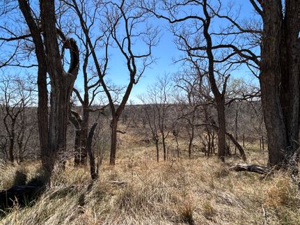 Land for sale in Dickens County, Texas