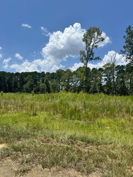 Land for sale in San Augustine County, Texas