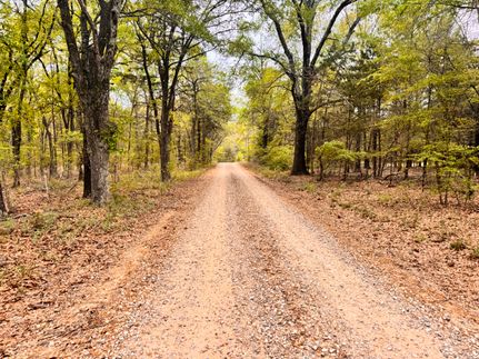 Hunting Property for sale in Fannin County, Texas