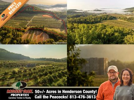 Farm and Ranch for sale in Henderson County, North Carolina