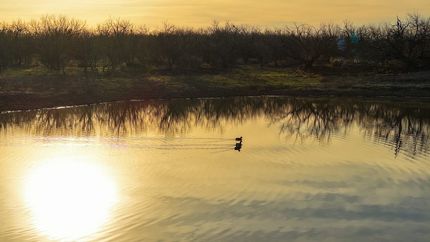 Farm and Ranch for sale in Stephens County, Texas