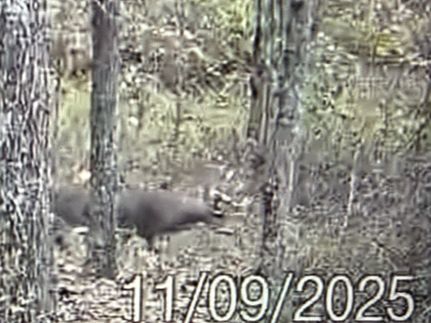 Recreational Property for sale in Pope County, Illinois