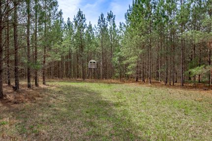 Timberland Property for sale in Burke County, Georgia