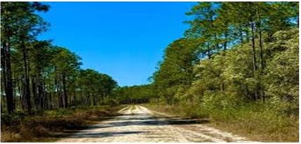 Farm and Ranch for sale in Putnam County, Florida