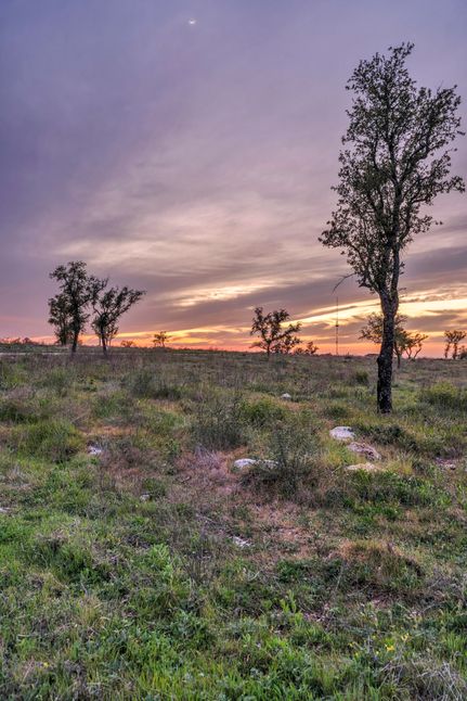 Hunting Property in Burnet County, Texas