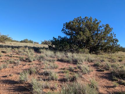 Undeveloped Land for sale in Apache County, Arizona