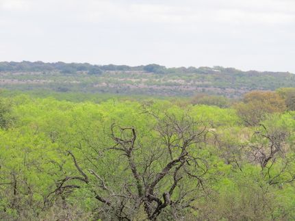 Farm and Ranch for sale in Menard County, Texas