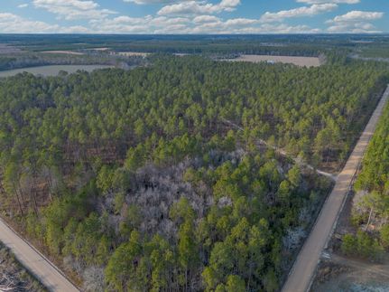 Recreational Property for sale in Wayne County, Georgia