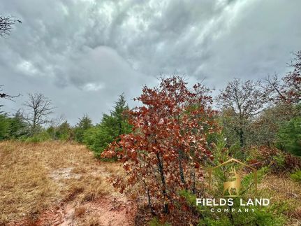 Timberland Property for sale in Oklahoma County, Oklahoma