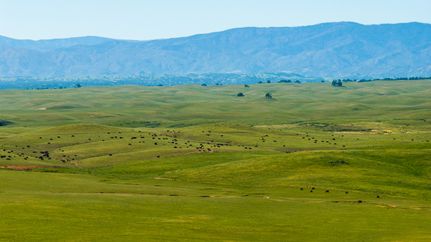 Land for sale in Tehama County, California