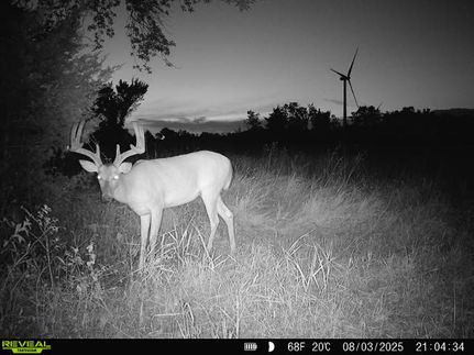 Farm and Ranch for sale in Coffey County, Kansas