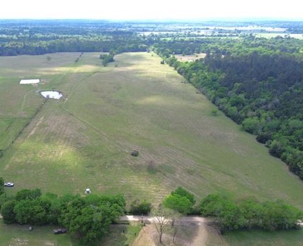 Farm and Ranch for sale in Houston County, Texas