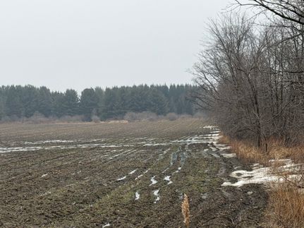 Commercial Property for sale in Sanilac County, Michigan