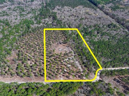 Farm and Ranch for sale in Trinity County, Texas