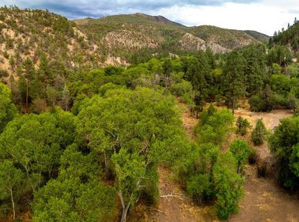 Recreational Property for sale in Catron County, New Mexico