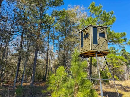 Land for sale in Liberty County, Texas