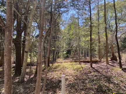 Timberland Property for sale in Van Zandt County, Texas
