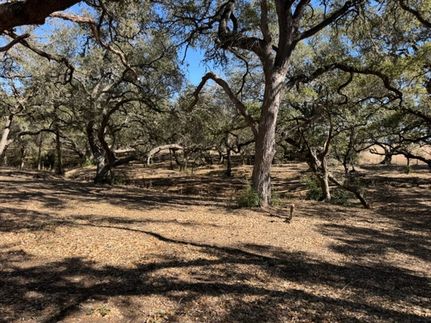 Farm and Ranch for sale in Fayette County, Texas