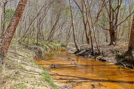 Recreational Property for sale in Hancock County, Georgia