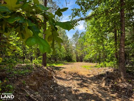 Farm and Ranch in Hickman County, Tennessee