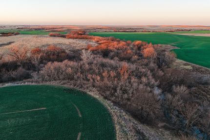 Timberland Property for sale in Hodgeman County, Kansas