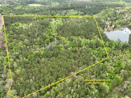 Timberland Property for sale in Laurens County, Georgia