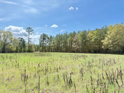 Farm and Ranch for sale in Florence County, South Carolina
