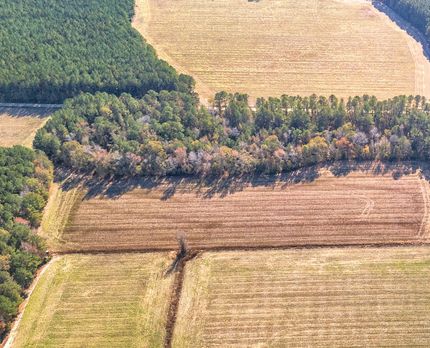 Farm and Ranch for sale in Florence County, South Carolina