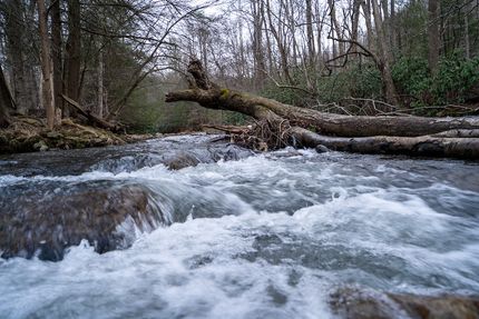 Timberland Property for sale in Somerset County, Pennsylvania