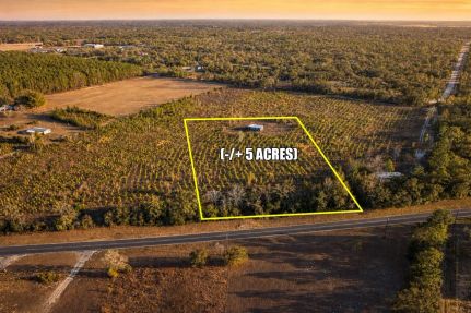 Hunting Property for sale in Levy County, Florida