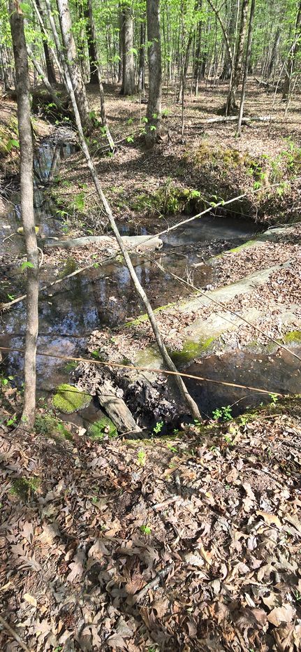 Timberland Property for sale in Jones County, Georgia