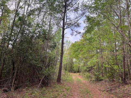 Farm and Ranch for sale in Monroe County, Alabama