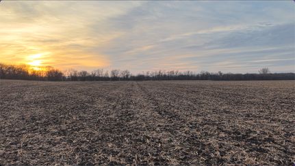 Timberland Property for sale in Butler County, Iowa