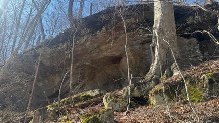 Farm and Ranch for sale in Vinton County, Ohio