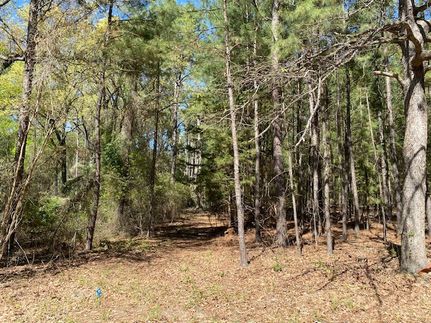 Timberland Property for sale in Van Zandt County, Texas