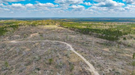 Land for sale in Washington County, Florida
