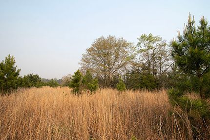 Timberland Property for sale in Jefferson County, Georgia