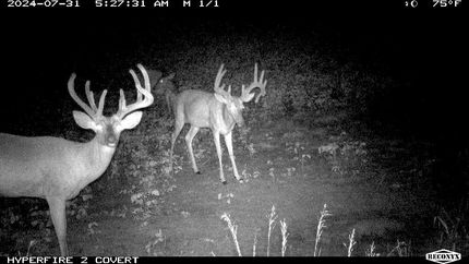 Farm and Ranch for sale in Johnson County, Illinois
