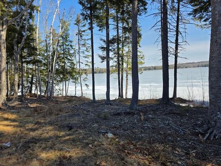 Timberland Property for sale in Aroostook County, Maine