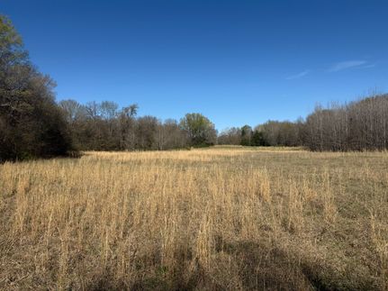 Recreational Property for sale in Lamar County, Texas