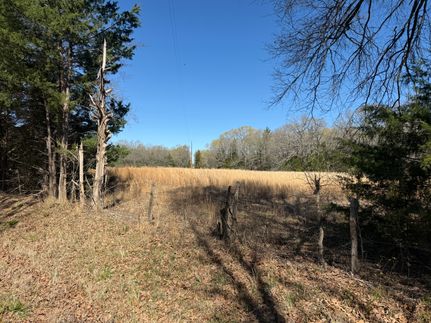Land for sale in Lamar County, Texas