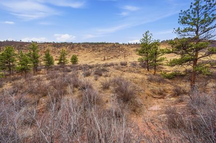 Undeveloped Land for sale in Larimer County, Colorado