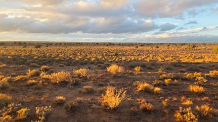 Farm and Ranch for sale in Apache County, Arizona