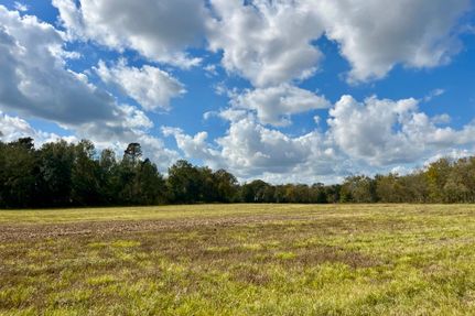 Farm and Ranch for sale in East Baton Rouge Parish, Louisiana