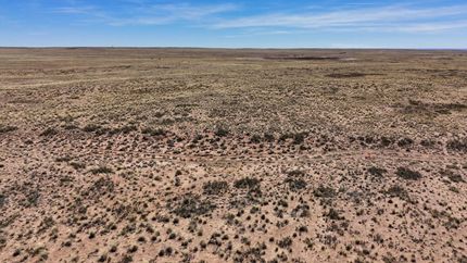 Timberland Property for sale in Navajo County, Arizona