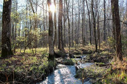 Land for sale in Jefferson County, Alabama