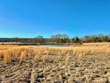 Recreational Property for sale in Pike County, Mississippi