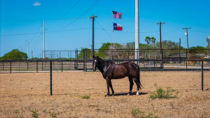 Recreational Property for sale in Jim Wells County, Texas