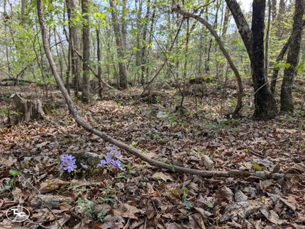 Farm and Ranch for sale in Blount County, Alabama
