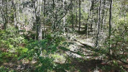 Farm and Ranch for sale in Thomas County, Georgia